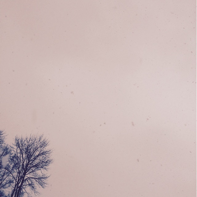 f:id:ecco16:20150301205629j:plain f:id:ecco16:20150301205629j:plain