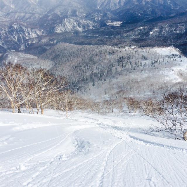 f:id:ecco16:20150301211701j:plain f:id:ecco16:20150301211701j:plain