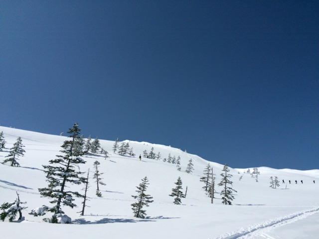 f:id:ecco16:20150315221607j:plain f:id:ecco16:20150315221607j:plain