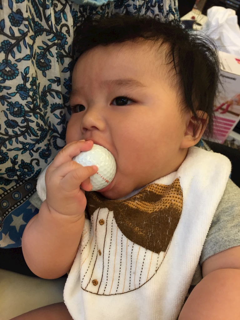 f:id:ecochiko2:20151023194319j:image f:id:ecochiko2:20151023194319j:image