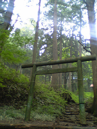 f:id:ecogroove:20060625070933j:image f:id:ecogroove:20060625070933j:image