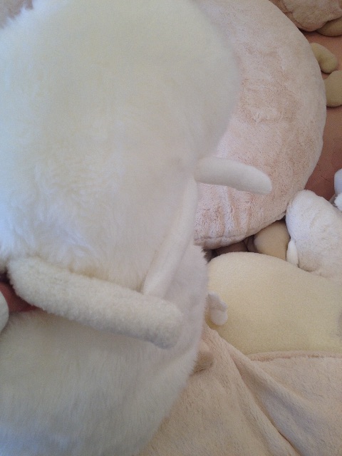 f:id:edgwcnn34:20150523220131j:image f:id:edgwcnn34:20150523220131j:image