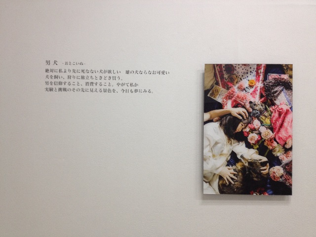 f:id:edgwcnn34:20150705111015j:image f:id:edgwcnn34:20150705111015j:image