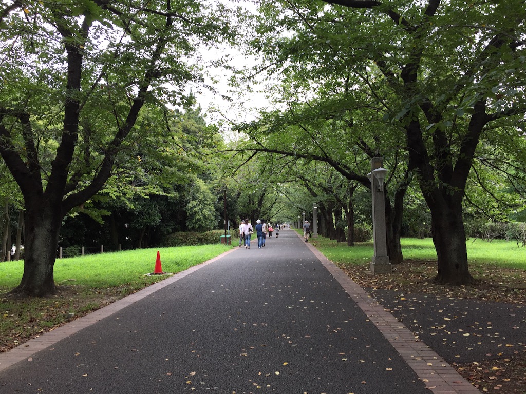 f:id:edgwcnn34:20150912160727j:image f:id:edgwcnn34:20150912160727j:image