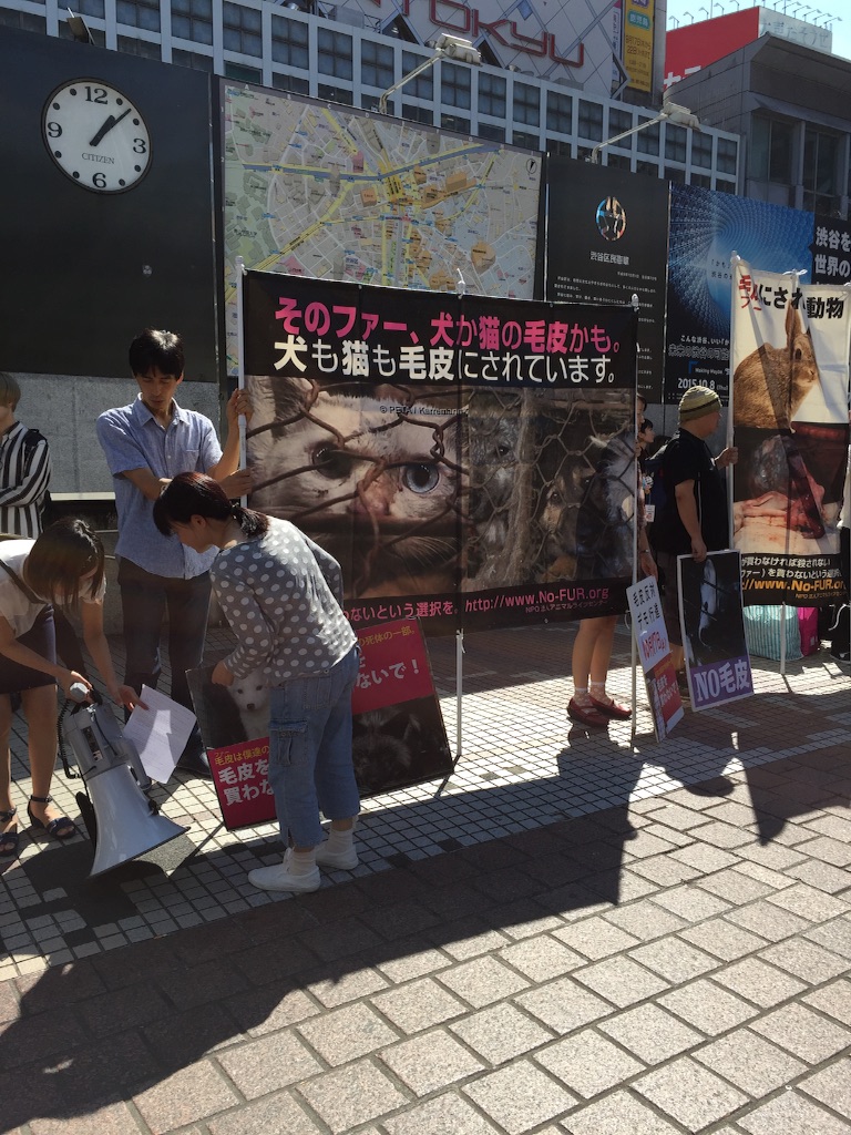 f:id:edgwcnn34:20150920134738j:image f:id:edgwcnn34:20150920134738j:image