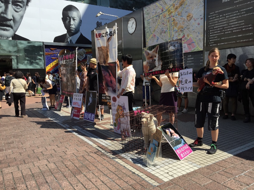 f:id:edgwcnn34:20150920134750j:image f:id:edgwcnn34:20150920134750j:image