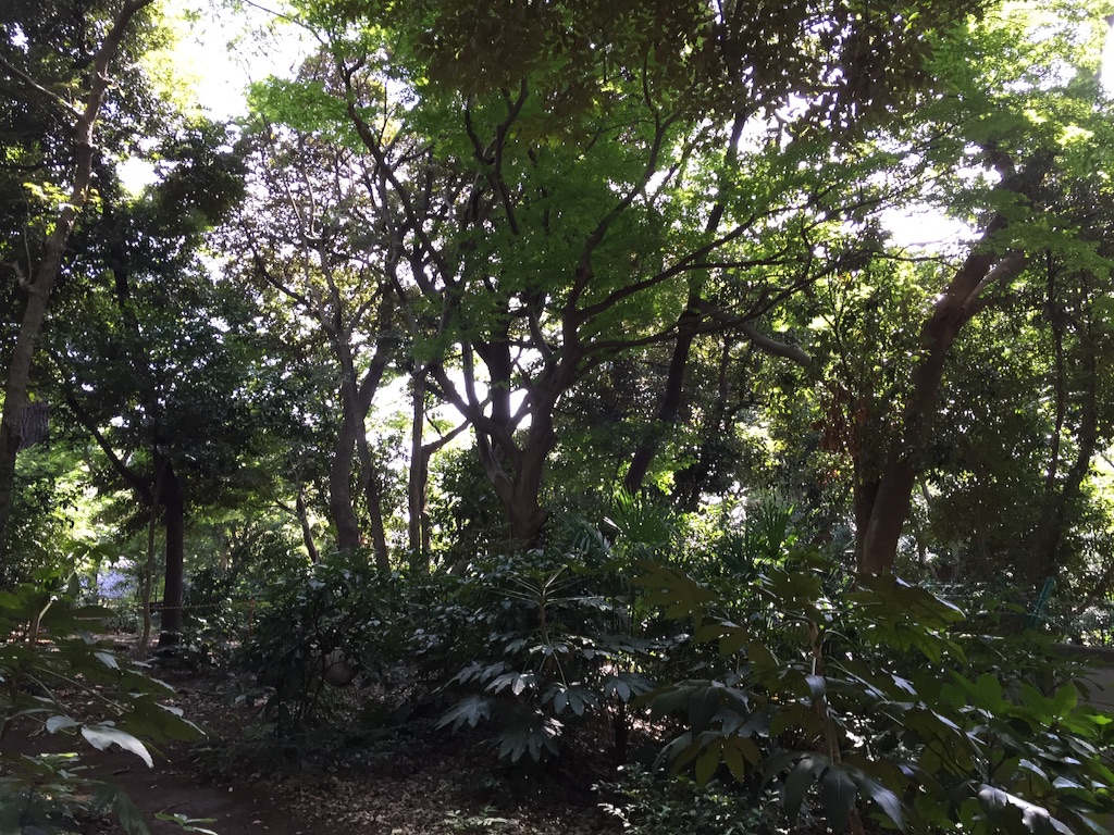 f:id:edgwcnn34:20151108161838j:image f:id:edgwcnn34:20151108161838j:image