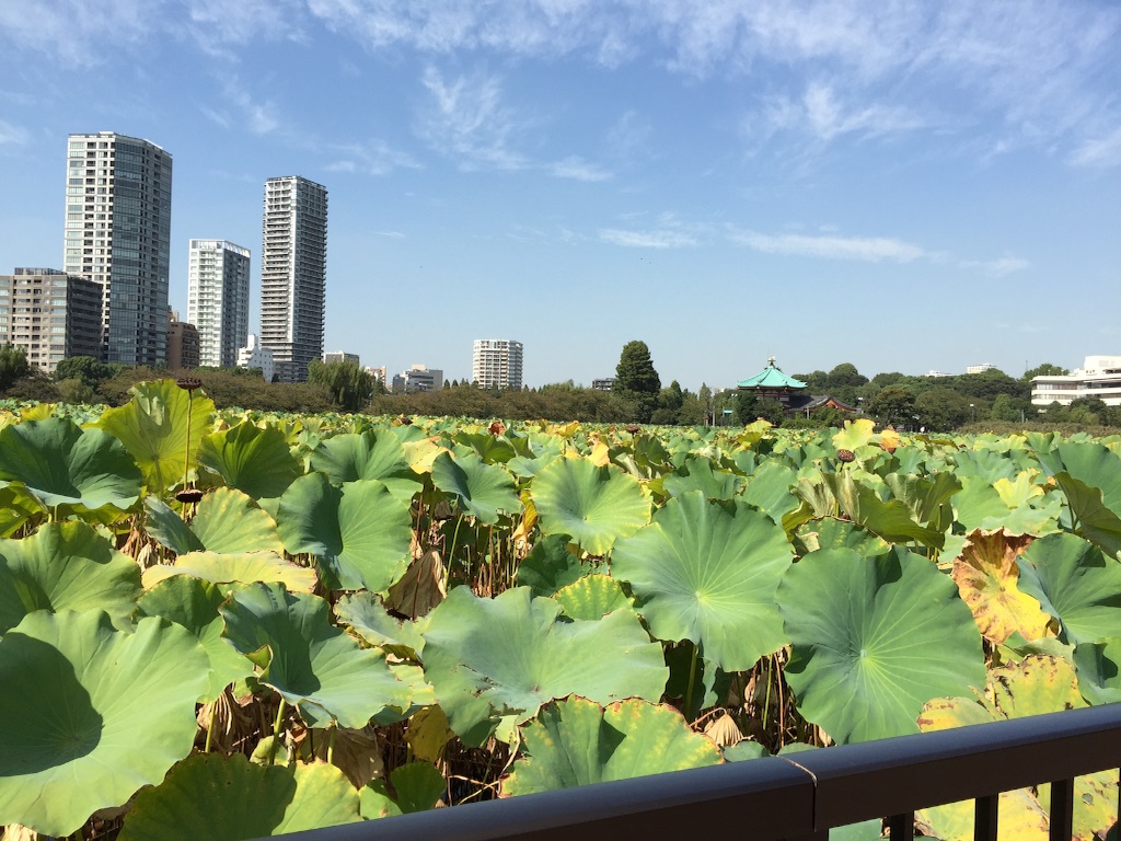 f:id:edgwcnn34:20151111000128j:image f:id:edgwcnn34:20151111000128j:image
