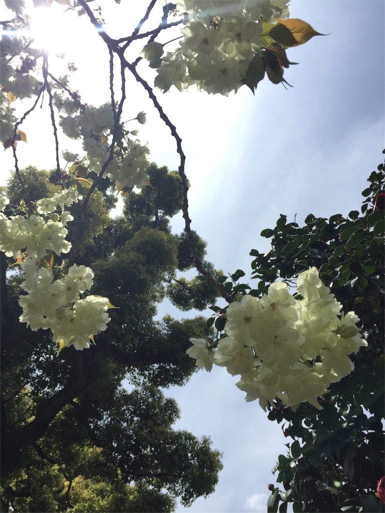 f:id:edgwcnn34:20160409123519j:image f:id:edgwcnn34:20160409123519j:image