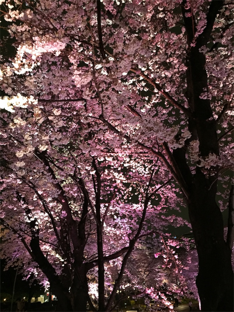 f:id:edgwcnn34:20160503211845j:image f:id:edgwcnn34:20160503211845j:image