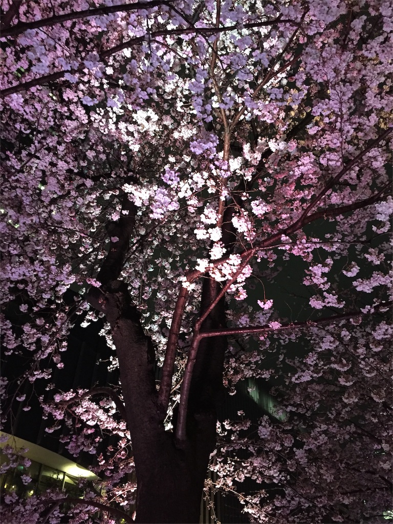 f:id:edgwcnn34:20160503211943j:image f:id:edgwcnn34:20160503211943j:image