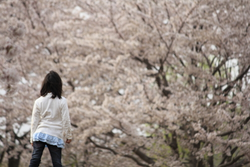 f:id:egyo2nd:20110410162507j:image:w500 f:id:egyo2nd:20110410162507j:image:w500