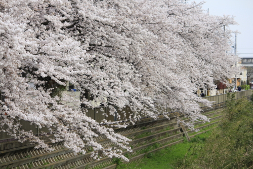 f:id:egyo2nd:20110410163855j:image:w180 f:id:egyo2nd:20110410163855j:image:w180