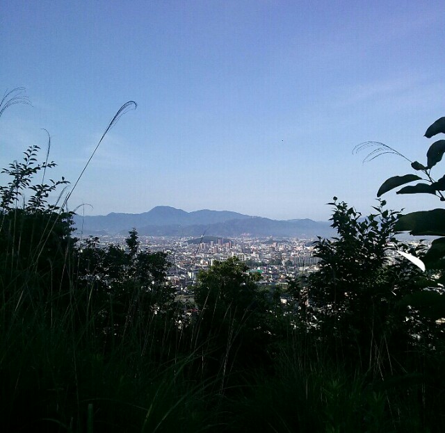 f:id:ehimeganeH28:20160701165617j:image f:id:ehimeganeH28:20160701165617j:image