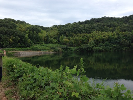 f:id:ei_001:20150715113835j:image f:id:ei_001:20150715113835j:image
