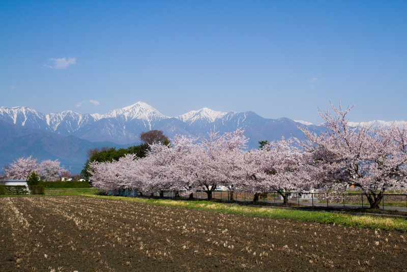 f:id:eichimu:20150418075952j:plain f:id:eichimu:20150418075952j:plain