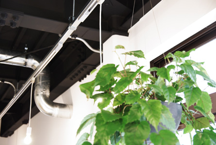 f:id:eight-design:20100619134111j:image