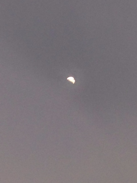 f:id:eightxota:20141008212921j:plain f:id:eightxota:20141008212921j:plain
