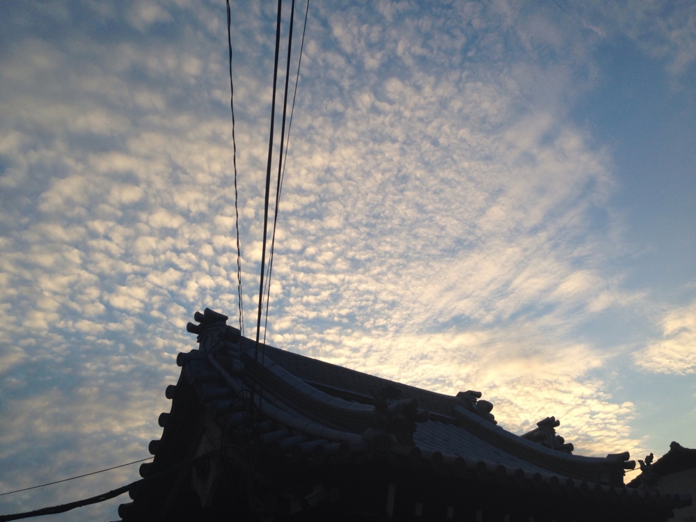 f:id:eiji1964:20141122191150j:plain f:id:eiji1964:20141122191150j:plain