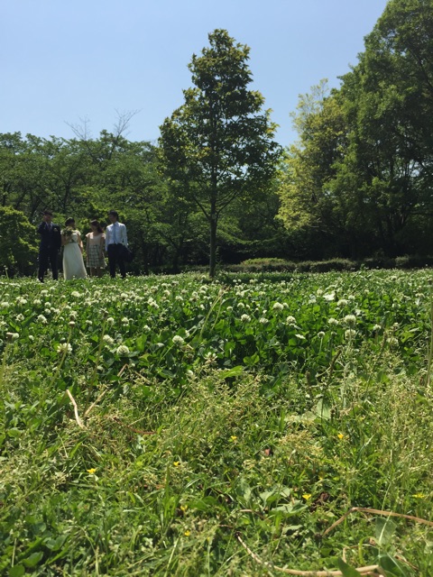 f:id:eikukataoka:20150512084829j:plain f:id:eikukataoka:20150512084829j:plain