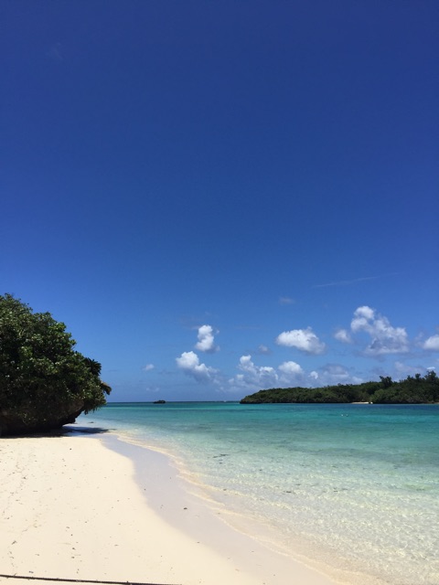 f:id:eikukataoka:20150712221343j:plain f:id:eikukataoka:20150712221343j:plain