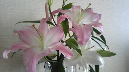f:id:eio:20091126223001j:image f:id:eio:20091126223001j:image