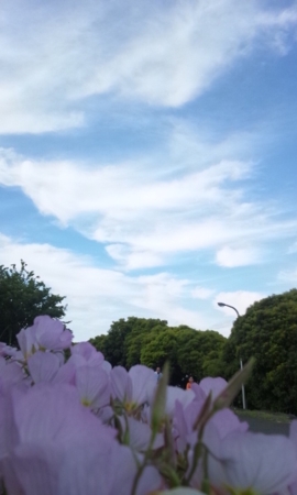f:id:eio:20130512155431j:plain f:id:eio:20130512155431j:plain