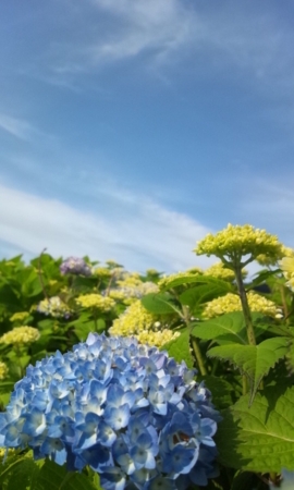 f:id:eio:20130512160415j:plain f:id:eio:20130512160415j:plain