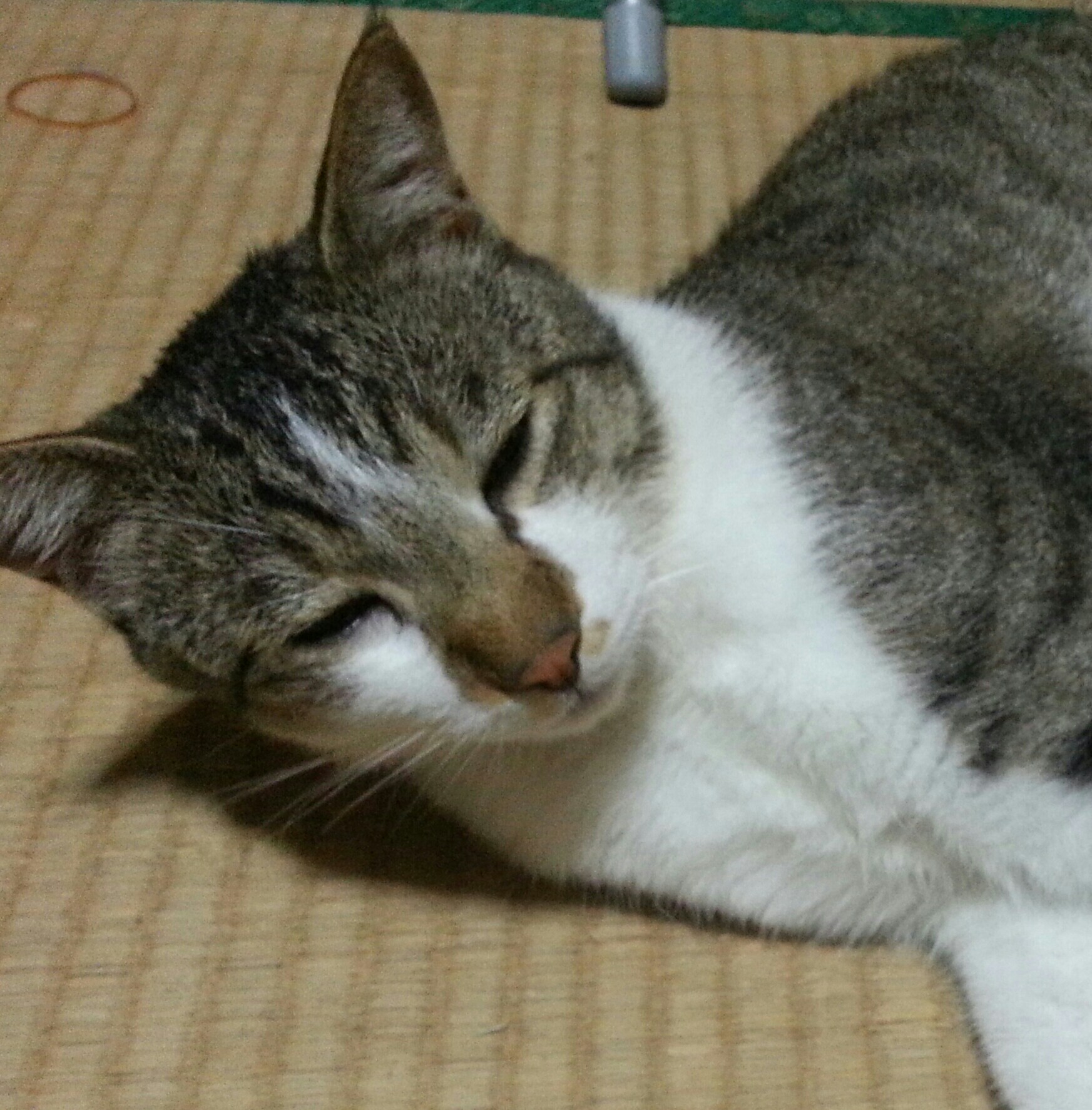 f:id:eirika:20160713220632j:image f:id:eirika:20160713220632j:image