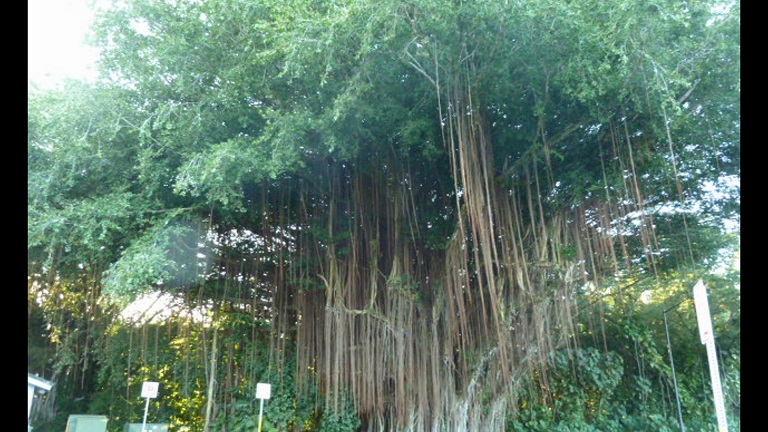 f:id:ek0901:20160204091840j:plain f:id:ek0901:20160204091840j:plain