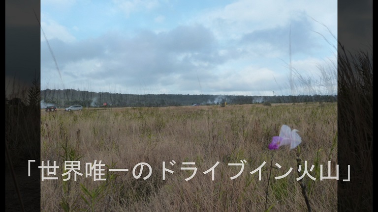 f:id:ek0901:20160204092711j:plain f:id:ek0901:20160204092711j:plain