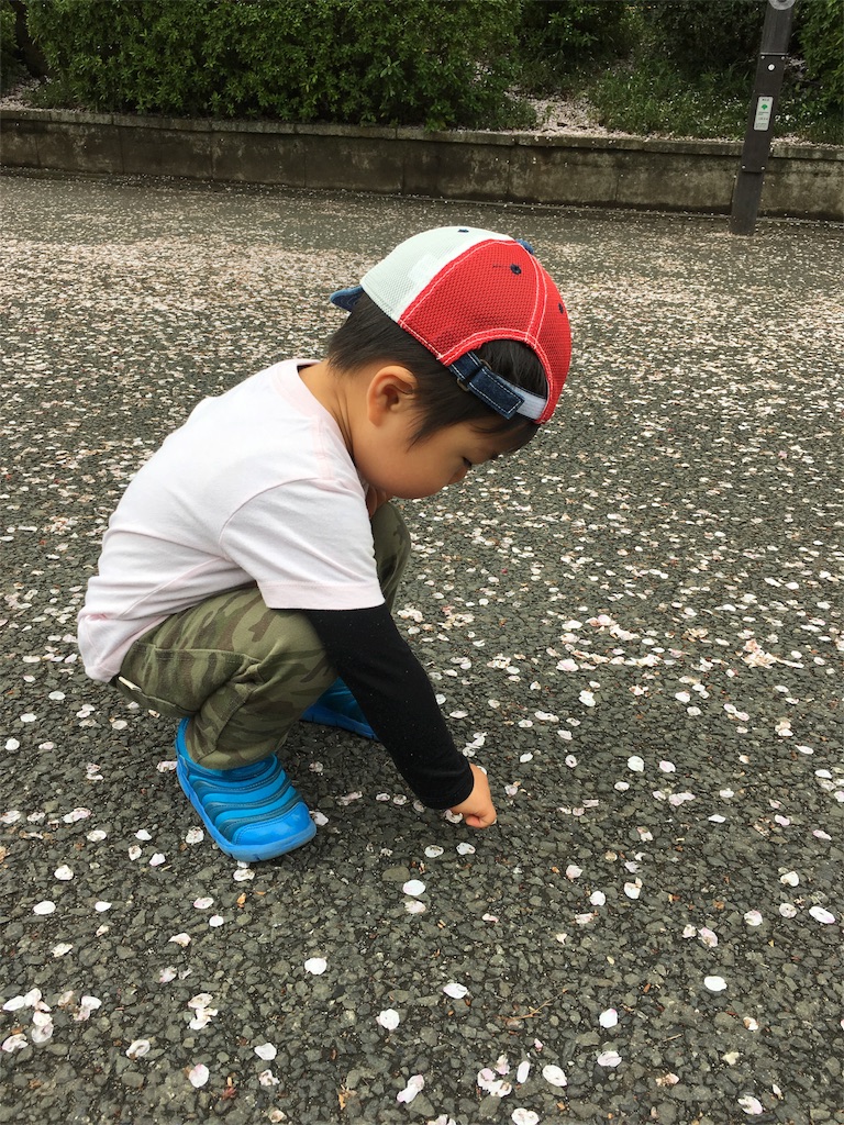 f:id:ekubonbon:20160408162436j:image f:id:ekubonbon:20160408162436j:image