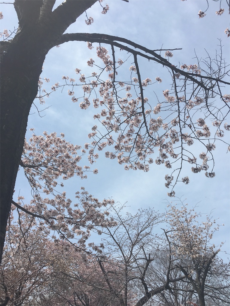 f:id:ekubonbon:20160503130155j:image f:id:ekubonbon:20160503130155j:image