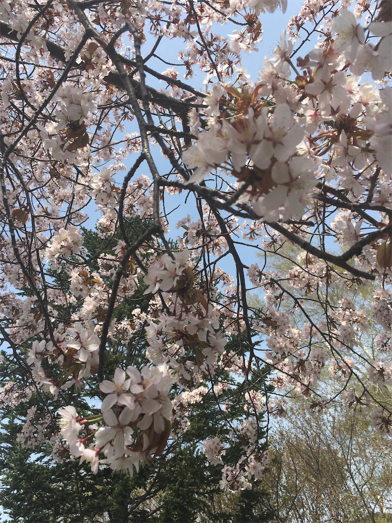 f:id:ekubonbon:20160503130331j:image f:id:ekubonbon:20160503130331j:image