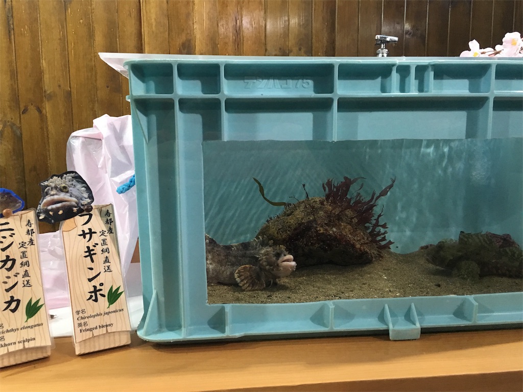 f:id:ekubonbon:20160508160009j:image f:id:ekubonbon:20160508160009j:image