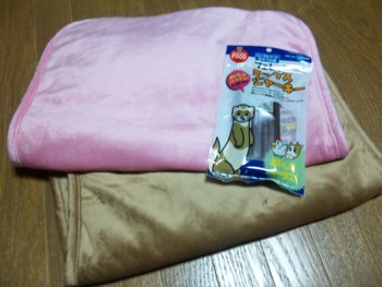 f:id:eliet0909:20091009203914j:image f:id:eliet0909:20091009203914j:image