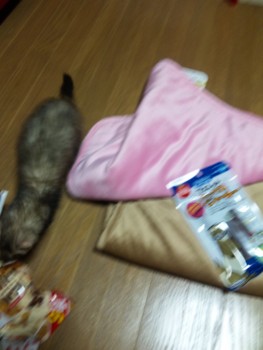 f:id:eliet0909:20091009204005j:image f:id:eliet0909:20091009204005j:image