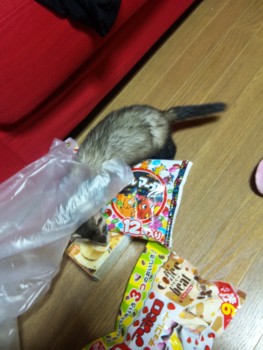 f:id:eliet0909:20091009204021j:image f:id:eliet0909:20091009204021j:image