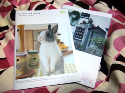 f:id:eliet0909:20110301210408j:image f:id:eliet0909:20110301210408j:image