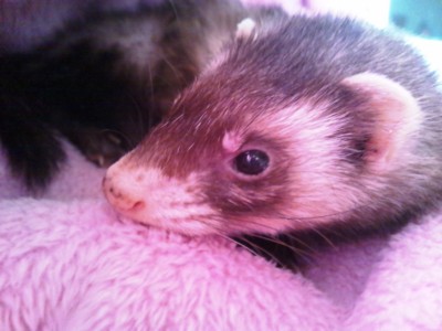 f:id:eliet0909:20120415075509j:image