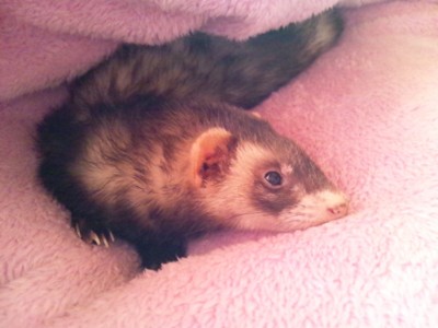 f:id:eliet0909:20120415080444j:image