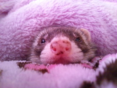 f:id:eliet0909:20120415081106j:image