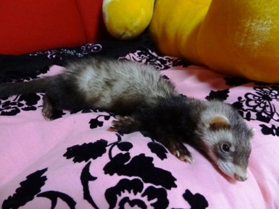 f:id:eliet0909:20120728173023j:image f:id:eliet0909:20120728173023j:image