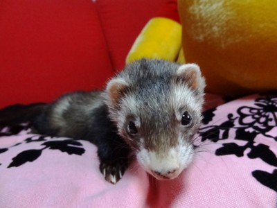 f:id:eliet0909:20120728173033j:image f:id:eliet0909:20120728173033j:image