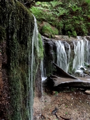 f:id:eliet0909:20130629154416j:image f:id:eliet0909:20130629154416j:image