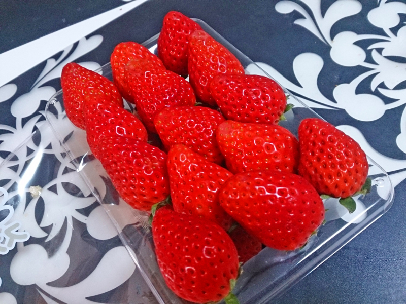 f:id:eliet0909:20160427211654j:plain f:id:eliet0909:20160427211654j:plain