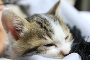 ȋȑqZ 238rڔLKCWuX [f]ڋ֎~]©bbspink.com	->摜>3749 