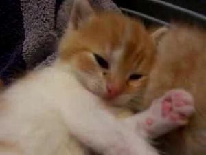 ȋȑqZ 238rڔLKCWuX [f]ڋ֎~]©bbspink.com	->摜>3749 