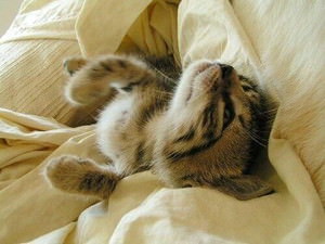 ȋȑqZ 238rڔLKCWuX [f]ڋ֎~]©bbspink.com	->摜>3749 