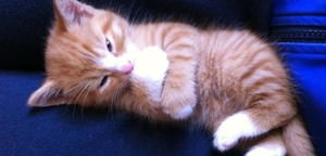 ȋȑqZ 238rڔLKCWuX [f]ڋ֎~]©bbspink.com	->摜>3749 